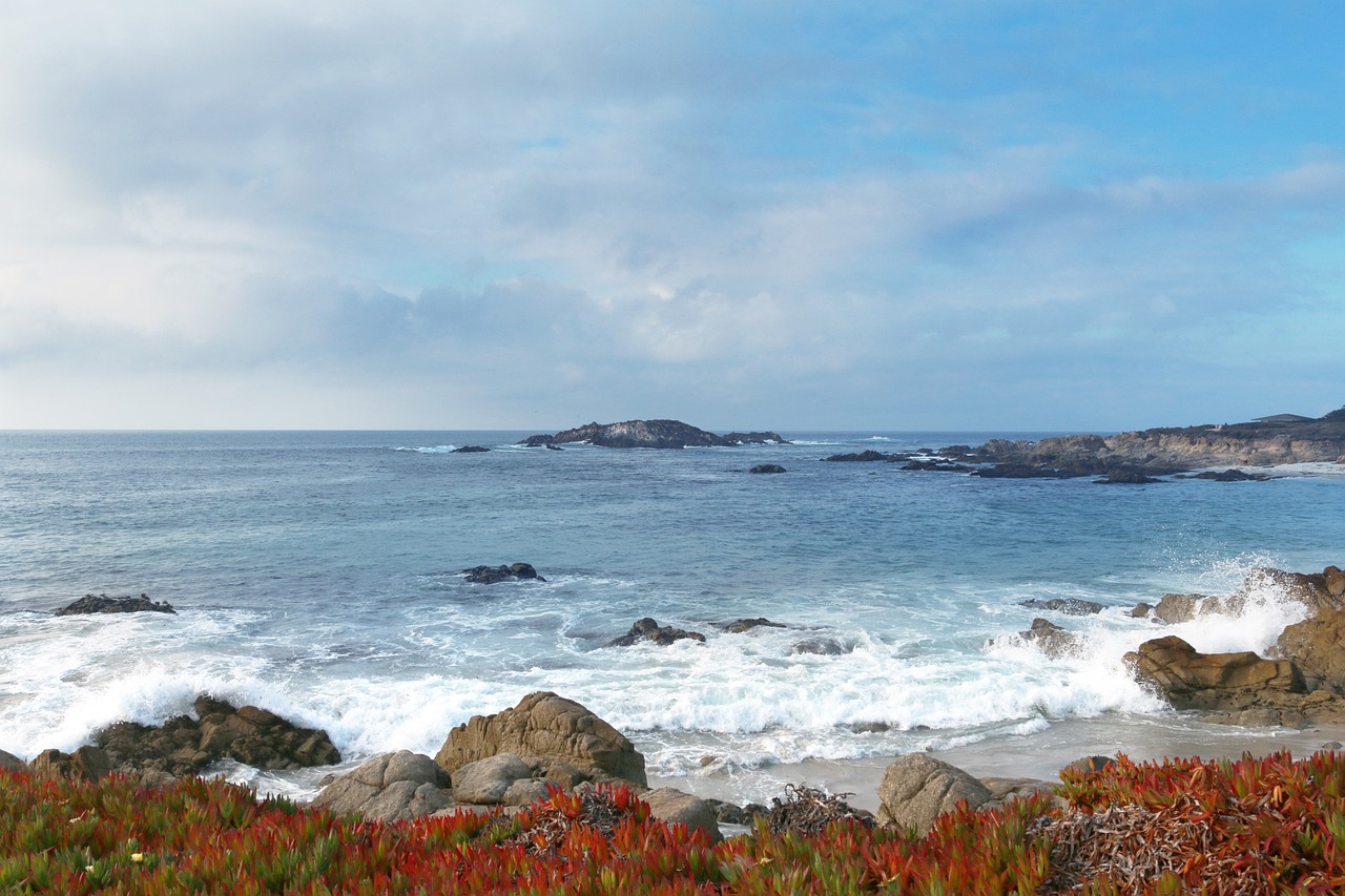 Undiscovered Charms of the United States’ Olympic Peninsula